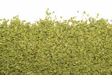 Charger l'image dans la galerie, Dynamo biologique 150g
